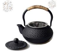 HwaGui - Mini Cast Iron Teapot with Infuser Small Tetsubin Black Tea Pot for One Set 300ml/10oz, 2 Cups of Tea