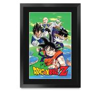 HWC Trading Dragonball Z Sean Schemmell Gifts Printed Signed Autograph Picture for TV Memorabilia Fans - A3 Framed (ID-006179)