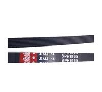 HWEIH 8PH 1965 Dryer Drive Belt 8PH1965