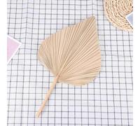 HWJAHQ Dried Palm Leaves Room Decor 5 Pieces - 18Inch H x 10Inch W Large Natural Leaf for A Beautiful Boho Look