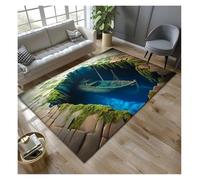 HWJFDC Optical Illusion Rug Forgotten Ship Carpet Under 3D Earth Cracks Ancient and Broken Anti Slip Floor Mat Home Decoration(Color4,80x120cm31x47in)