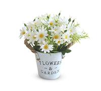 Hwtcjx Artificial Flowers with Vase, Artificial Flowers in Pots, Fake Plants With Metal Pot, Plastic Flower, with Vintage Metal Bucket, Beautiful Decoration, for Wedding, Office, Home (White)