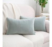 HWY 50 Pale Baby Blue Solid Velvet Rectangular Cushion Covers 30x50 cm, Pack of 2, Luxury Soft Cosy Decorative Throw Pillow Covers for Sofa Couch Bed Living Room