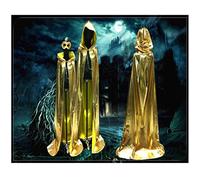 Hwydo Gold Sorcerer Cloak/Dragged to Death Cloak/Cape Halloween Size XL