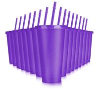 Hxezoc 16-Piece Reusable Cups with Lids and Straws, 24 oz Glitter Plastic Tumbler Iced Coffee Cups Travel Mugs for Smoothies, Juices, Beach, Bachelor Party (Purple)