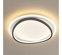 HXFFXHF Bedroom Ceiling Light Ultra-Thin Irregular Decorative Ceiling Lamp Light Luxury Round Simple Chandelier Atmospheric LED Study Net Red Creative Room Lamps Interesting Life (Black 40