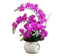 HXFFXHF Potted Faux Orchids Living Room Decoration Artificial Phalaenopsis Flowers With Vase Botanical Arrangement (a)