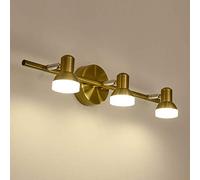 HXFFXHF Vintage Bathroom Mirror Lights, Brass LED Mirror Front Light with Rotatable Lamp Head, Warm White, Retro Mirror Cabinet Lights Bath Wall Lamp for Toilet Hotel Restaurant,2 LightsInteresting