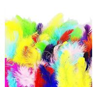 HXMJIED 100 Pcs Goose Feathers, Colorful Feathers, Feathers for Crafts, Craft Feathers, Striking Feathers, for DIY Decorations, Hat, Costume
