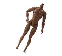 HXNH Muscular 12.20Inch Male Doll Body 13 Articulated Joints Realistic Male Body Figure For Action Display Art Project Flexible Doll For Dynamic Poses