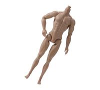 HXNH Muscular 12.20Inch Male Doll Body 13 Articulated Joints Realistic Male Body Figure For Action Display Art Project Flexible Doll For Dynamic Poses
