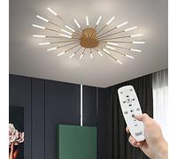 HXYSXHJUO Modern Fireworks Ceiling ht With Remote Control, LED Creative Flower Shape Lamp Fixture Nordic Semi-Flush Mount Acrylic hting For Living Dining Room Bedroom (Gold,28-ht)
