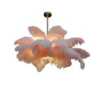 HXYSXHJUO Modern Simple Chandeliers White Pink Feather Chandelier Romantic Luxury Pendant ht For Bedroom Girl Room Clothing Store Photo Studio Creative Large Ostrich Ceiling Fixture-White 100