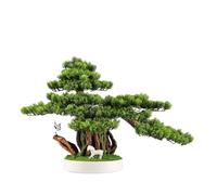 HXZJUIKL Artificial Bonsai Tree Simulation Fortune Tree Bonsai Welcome Pine Tree Ornaments Entrance Table Living Room Office Hotel Soft Decorations Home Office Décor