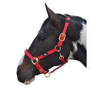 Hy Deluxe Padded Head Collar - Red - Cob