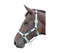 Hy Deluxe Padded Head Collar: Baby Blue: cob