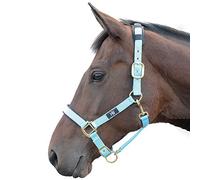 Hy Deluxe Padded Head Collar: Baby Blue: pony