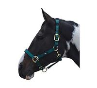 Hy Deluxe Padded Head Collar: Green: full size
