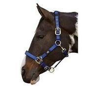 Hy Deluxe Padded Head Collar - Navy - Cob