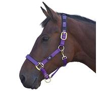 Hy Deluxe Padded Head Collar - Purple - Cob
