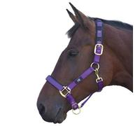 Hy Deluxe Padded Head Collar Purple (Pony)