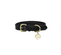 Hy Equestrian Benji & Flo Deluxe Padded Leather Dog Collar, Black/Brass, Medium