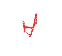 Hy Equestrian Foal Head Collar - Red - One Size