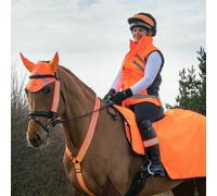 Hy Equestrian Hi Viz Padded Gilet - S · Orange
