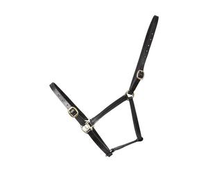 Hy Equestrian Leather Foal Head Collar - Black - Small