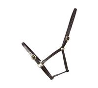 Hy Equestrian Leather Foal Head Collar - Brown - Medium