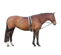 Hy Equestrian Lunging System - Navy/Grey