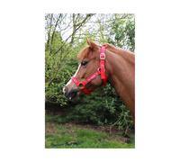Hy Equestrian Merry Christmas Head Collar and Lead Rope for Horses Red - Full