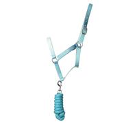 Hy Equestrian Ombre Head Collar & Lead Rope - Teal - Pony