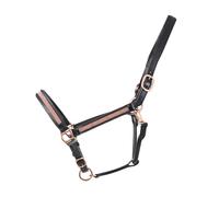Hy Equestrian Rosciano Rose Gold Head Collar Black and Rose Gold - Full