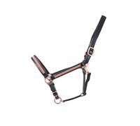 Hy Equestrian Rosciano Rose Gold Headcollar Black Size Cob - Cob · Black