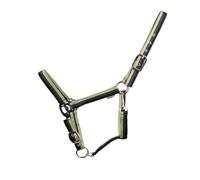 Hy Equestrian Trinity Head Collar (Navy/Green, Pony)