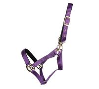 Hy Fieldsafe Horse Headcollar (Pony) (Purple)