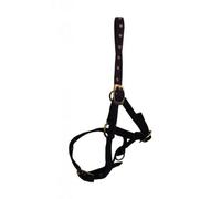 Hy Foal Head Collar Black (One Size)