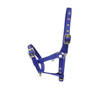 Hy Foal Head Collar Blue (One Size)