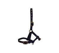 Hy Foal Head Collar - Navy