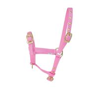 Hy Foal Head Collar - Pink