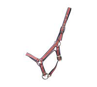 Hy Foal Plus Head Collar - Red/Navy - One Size