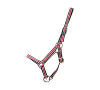 Hy Foal Plus Head Collar Red/navy (One Size)