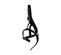 Hy Foal Slip Halter Black (One Size)