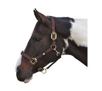 Hy Grand Prix Head Collar Chocolate Brown (Pony)