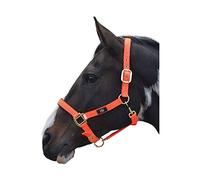 Hy Grand Prix Head Collar Hot Orange Pony