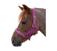 Hy Holly Fully Adjustable Head Collar BZ320