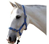 Hy Holly Fully Adjustable Head Collar BZ320