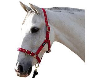 Hy Holly Fully Adjustable Head Collar (Cob) (Red)