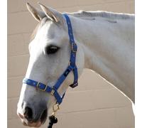 Hy Holly Fully Adjustable Head Collar - Navy - Cob